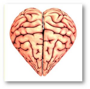 Taller Inteligencia Emocional Valladolid (III Edición)