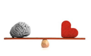 Taller de Inteligencia Emocional en Valladolid (V Edición)